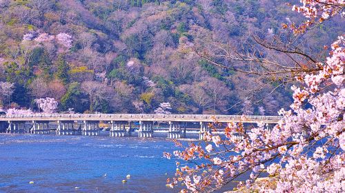 Small group of 9: Kyoto 1-day tour to Kifune shrine, Arashiyama and Sanzen-in
