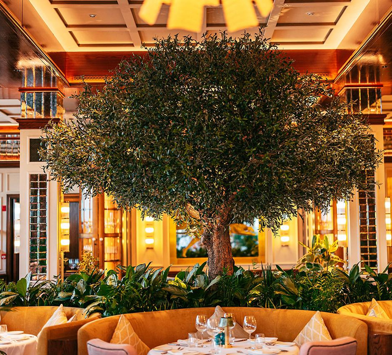 The View Fast Track with an Italian Lunch at Signor Sassi