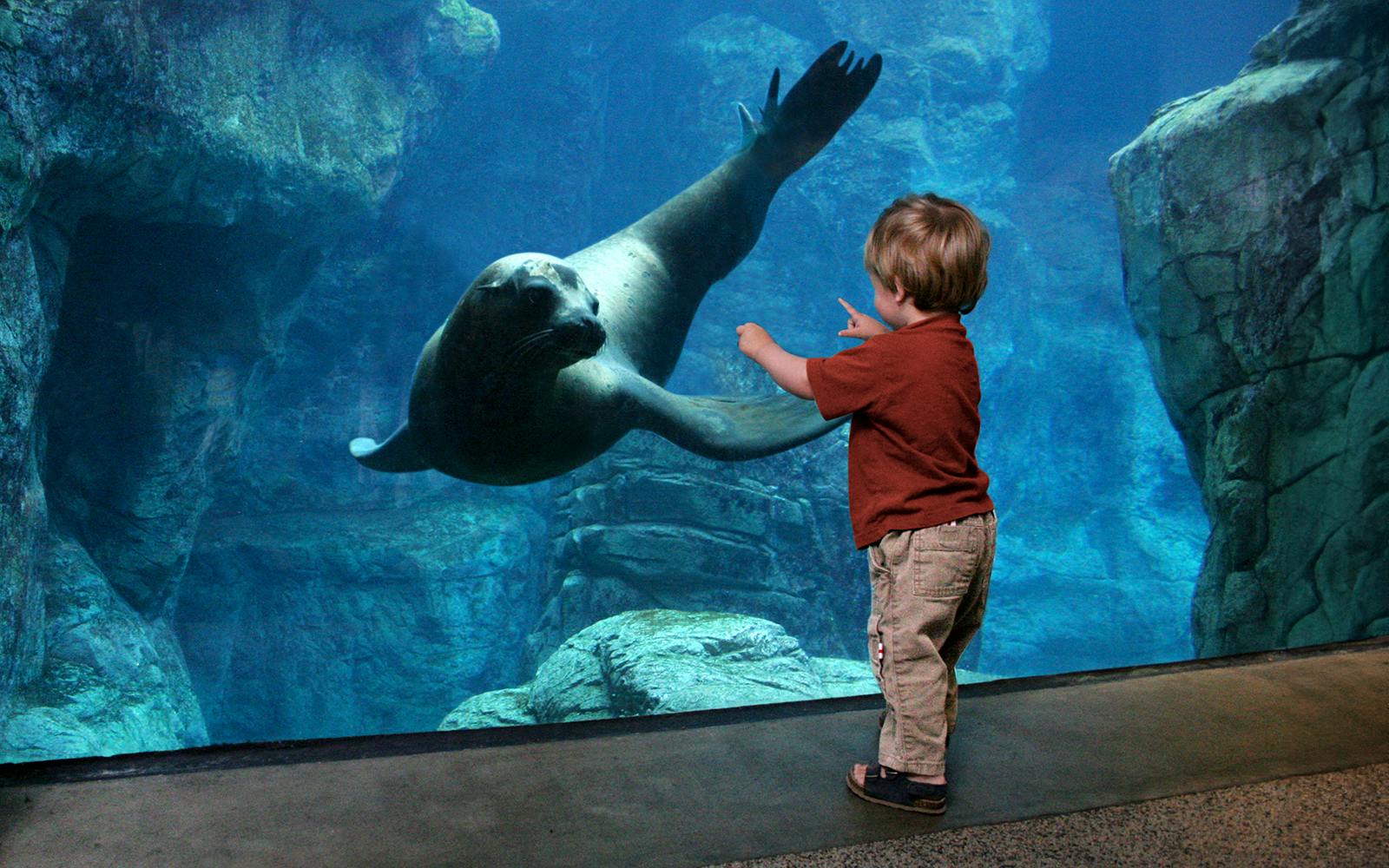 Aquarium of the Pacific Skip-the-Line Tickets