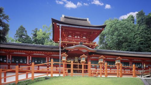 [Official Ticket] Kintetsu Rail Pass E-ticket: 1 Day, 2 Days, 5 Days, 5 Days Plus Transport Passes