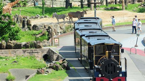 [Official Ticket]JR Pass Kansai Wide Area 5-day Pass + Adventure World 1-day Admission Pass + Adventure World 1000 Yen Meal Voucher Transport Passes