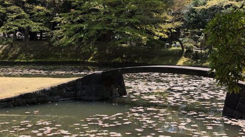 Koishikawa Korakuen Garden