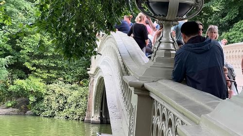 Central Park Pedicab Tour ( starting - Natural History Museum ) Day Tours