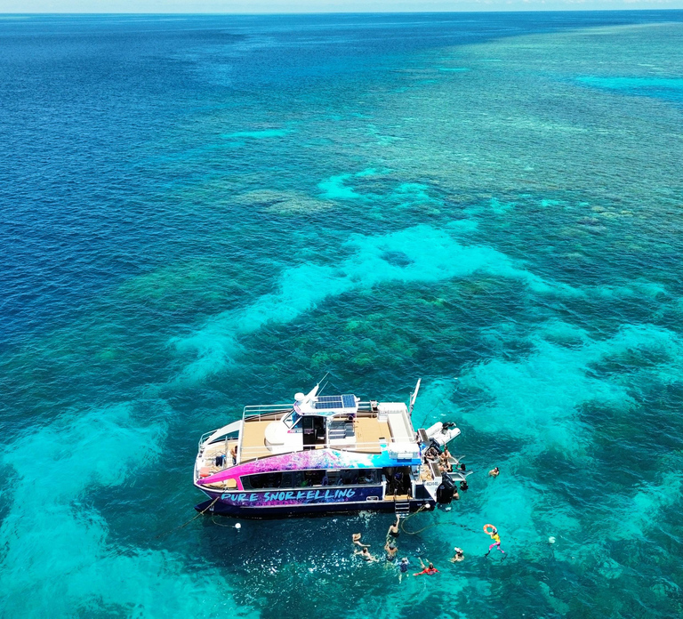 Cairns: All-Inclusive Great Barrier Reef Half-Day Snorkeling