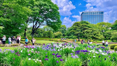Tokyo Imperial Palace East Gardens Private Guided Tour