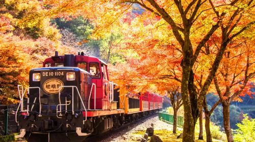 Stroll through Kyoto's Arashiyama | Ride the Arashiyama Sagano romantic train & experience the Hozugawa river boat ride canyon rafting tour Day Tours