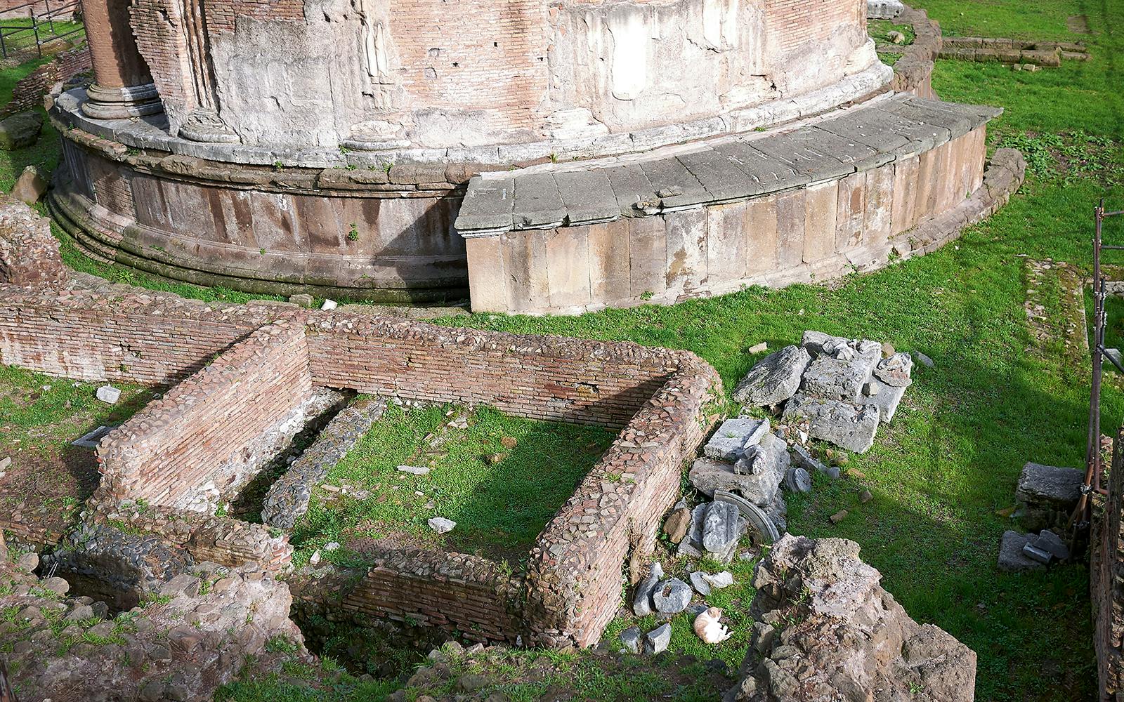 Archaeological Area Largo Argentina Tickets