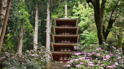 2-day Osaka–Nara fun pass
