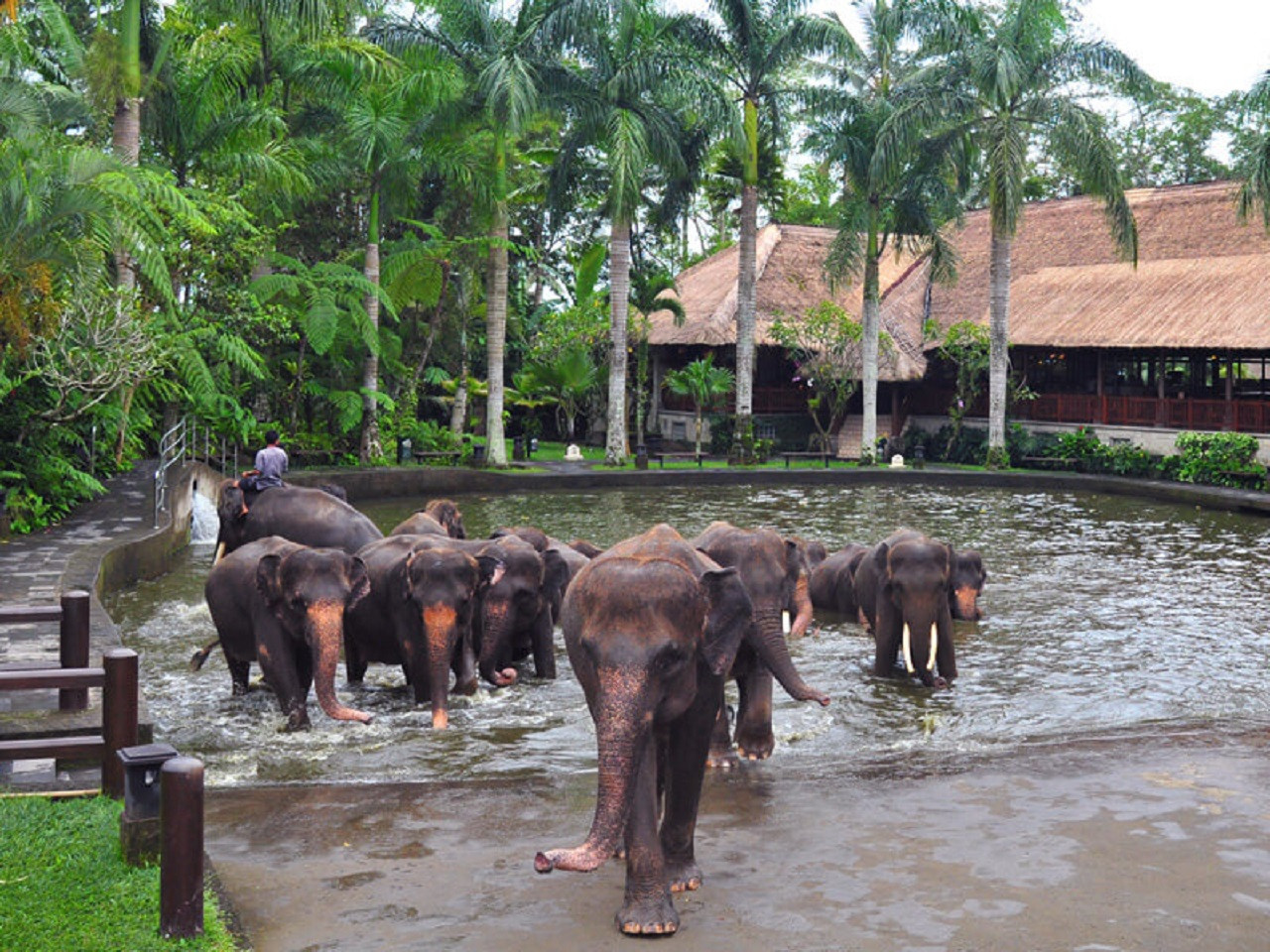 Safari Ride Tour