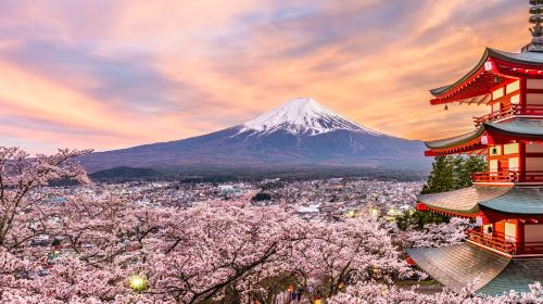 Tokyo Mt. Fuji 5th Station, Oshino Hakkai, Gotemba Premium Outlets, or optional day trip to an onsen (hot spring) at your own expense. Day Tours