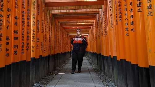 Full-Day Kyoto Walking Tour: Most Iconic Landmarks & Monkeys Day Tours