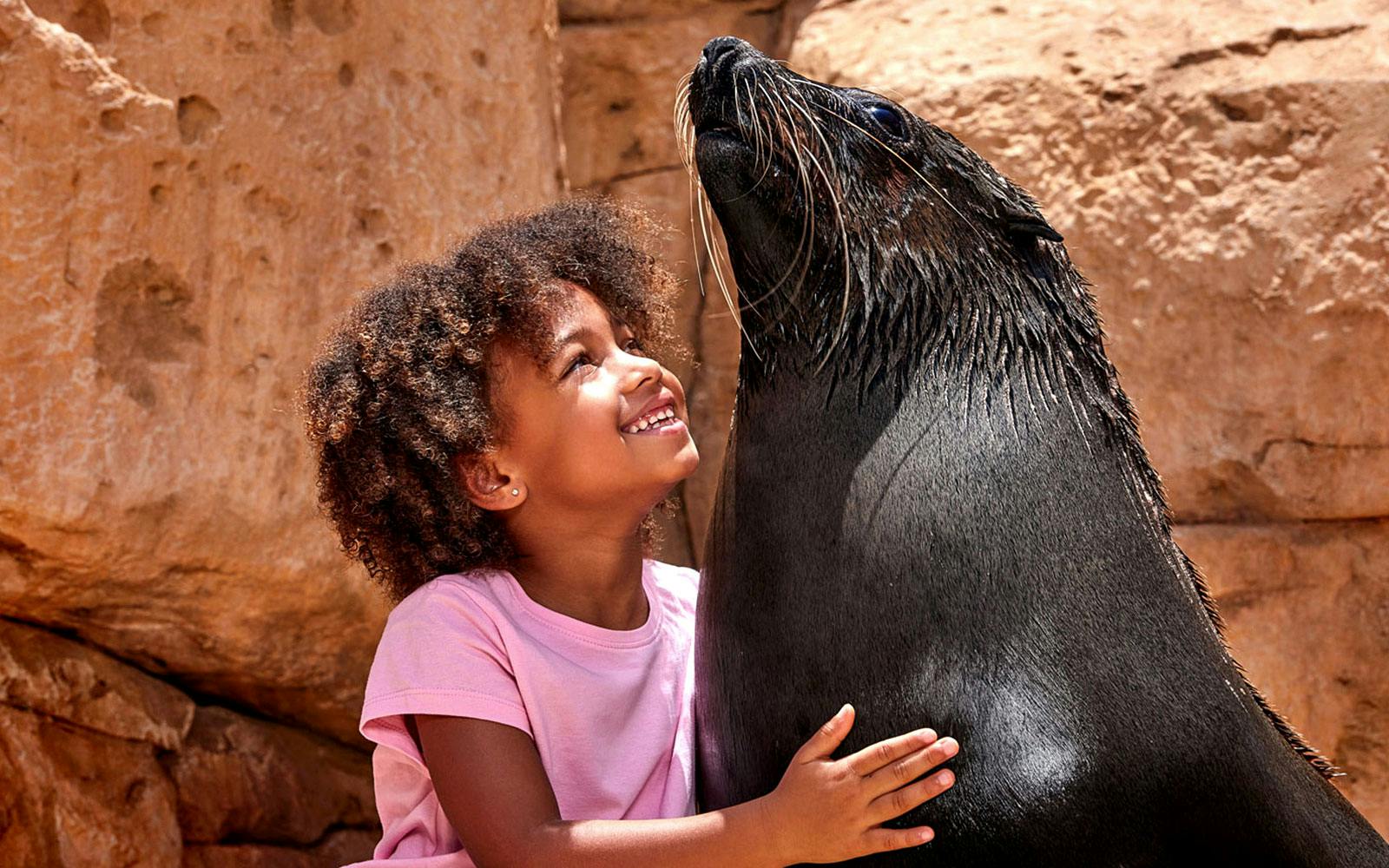 Sea Lion Encounter with Aquaventure Waterpark Tickets