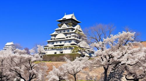 From Osaka Port: Private 10-Hour Osaka City Tour (with Customizable Itinerary)
