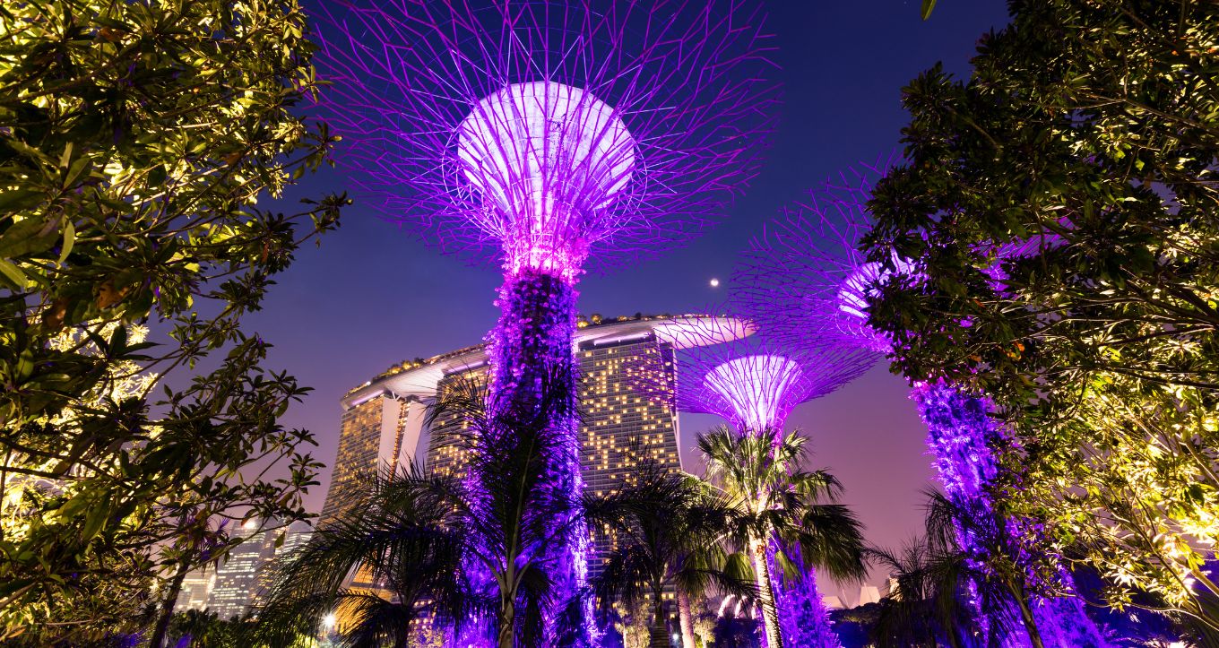Singapore NightVee Ride: 1-Hour