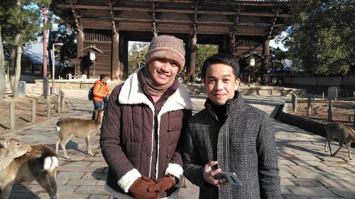 Nara 6hr Private Tour with Government-Licensed Guide Day Tours