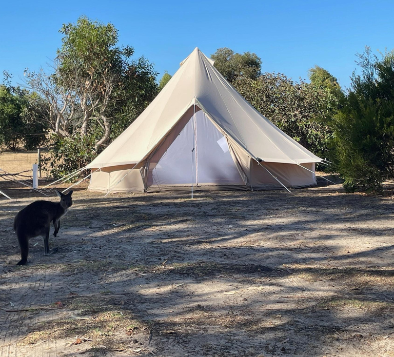 From Adelaide: Kangaroo Island Epic 2-Day Small Group Tour