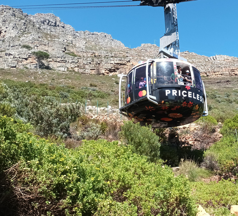 Cape Town: Table Mountain Cable Car Ticket