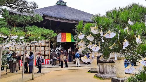 1-day tour to Amanohashidate, Ine Fishing Village & Kayabuki No Sato in Kyoto, Japan