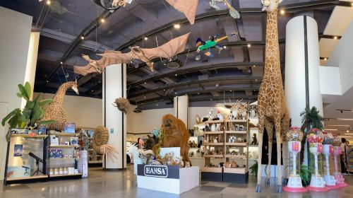 Botanical Garden of National Museum of Nature Science