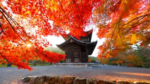 Kyoto Nanzen-ji Temple red maple + Nijō Castle illumination show + Gion + Nishiki Market 1-day tour Day Tours