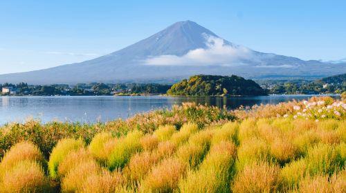 Iconic Fuji Adventure: Kawaguchiko, Stairway Town & Instagram Hotspots