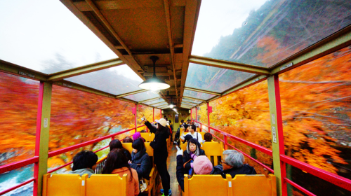 Kyoto Arashiyama Sagano Romantic Train Car No. 5 booking service