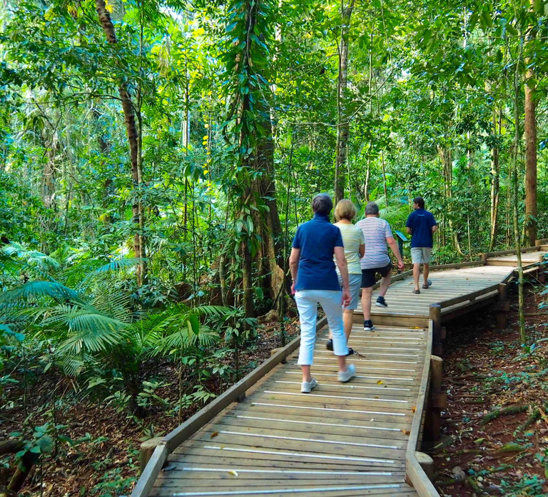 Port Douglas: Daintree Rainforest and Cape Tribulation Tour