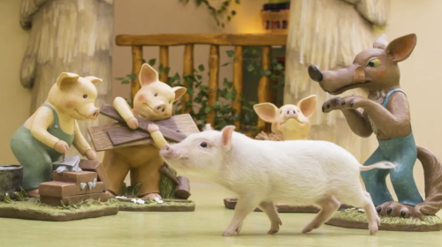 Popular healing pig cafe interactive experience (for adults aged 4+)