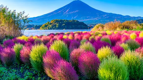Japan Tokyo Mt. Fuji Lake Kawaguchi & Yamanakako & Lawson/Hikkawa one-day tour