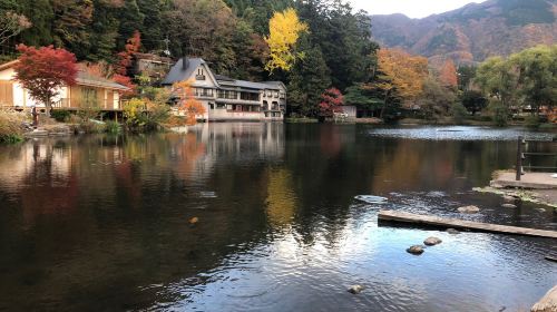 Beppu Kinrin Lake Autumn Viewing + Hells of Beppu + Kyushu Wildlife Park African Safari 1-day Tour