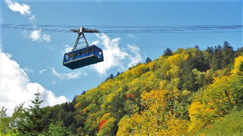 Fall day tour | Kurodake mountain cable car for maple viewing & Asahiyama Zoo [Chinese and English guide, departure from Sapporo] Day Tours
