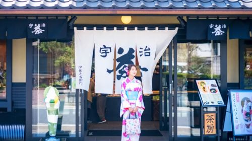 Nara Uji hot spring day tour|Deer viewing, tea tasting, and hot springs|Optional pick-up/drop-off