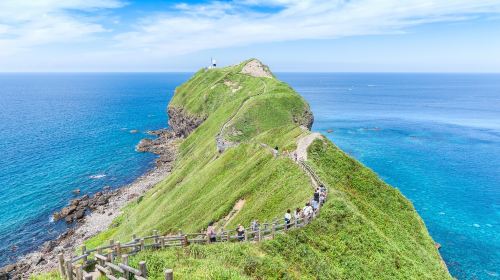 [Departure Guaranteed] Departing from Sapporo "Cape Kamui and Shimamui Coast - Extravagant! Uni Donburi Where You Can't See the Rice - Hokkaido's Stunning Shakotan Peninsula" | Tour by Japanese Travel