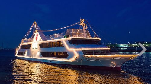 IB Tokyo and Yokohama attraction pass
