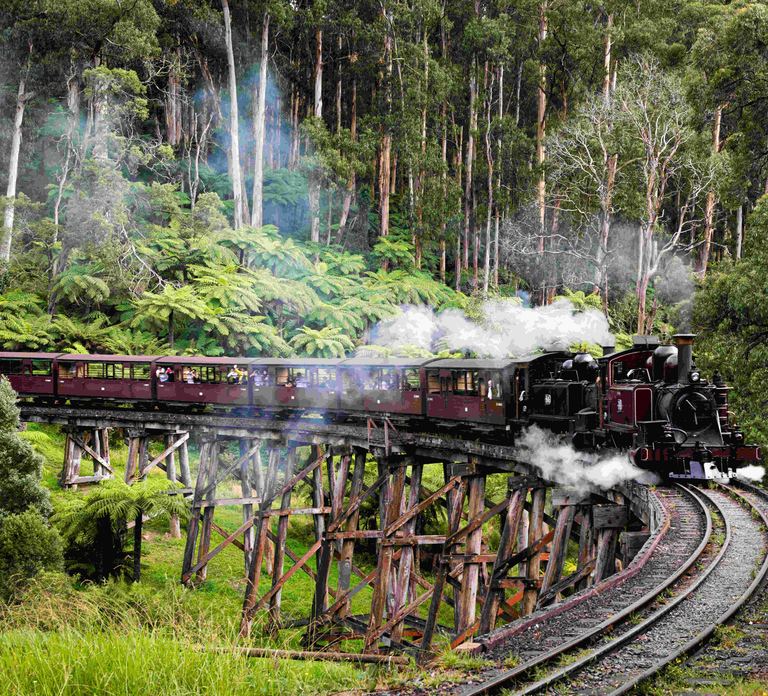 Melbourne: Puffing Billy Railway & Penguin Parade Day Tour