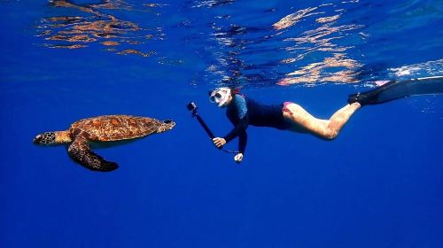 Liuqiu Island Scuba Diving and Snorkeling Experience in Pingtung for 1 hour