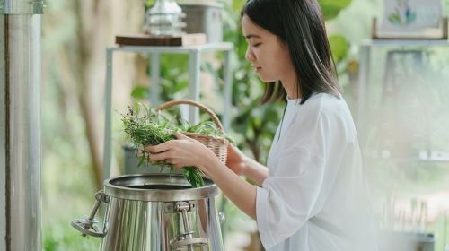 Lavender Forest Jianshi Store