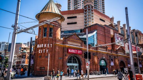 Sydney: Private Customizable Tour with a Local Day Tours