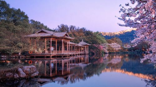 Hangzhou West Lake, Leifeng Pagoda, and Flower Harbor Fishing Day Tour (Chinese-language group tour)
