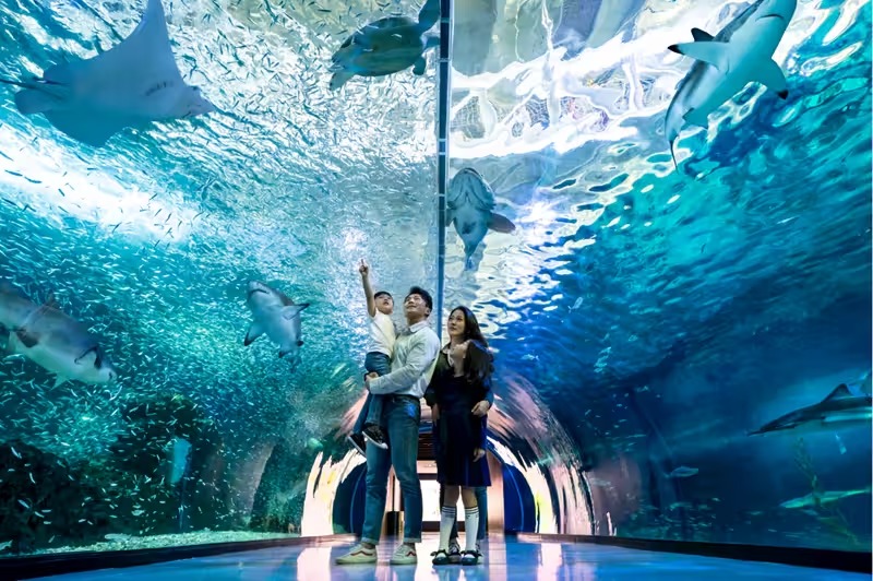 Aqua Planet Jeju
