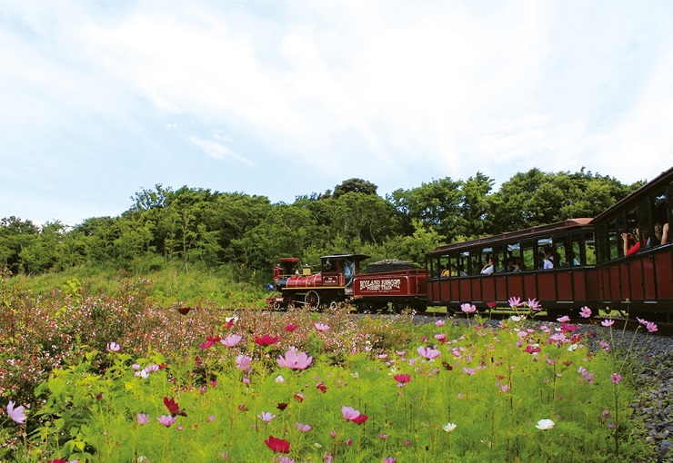 Ecoland Jeju