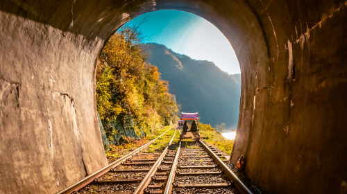Gyeonggi Province|1-day tour to Gangchon Rail Park + Alpaca World Day Tours