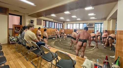 Tokyo Sumo Morning Practice Tour w/ Ring-Side Seat + Photo Shoot Day Tours