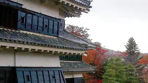 Matsumoto Castle Tour & Samurai Experience Day Tours