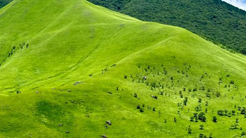 1-Day Tour of Kyushu's Fairy Tale Nature in Japan · Zoo · Yufuin Fairy Tale Street · Mountain Views