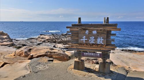 1-day tour to Shirahama beach in Wakayama – Seafood market