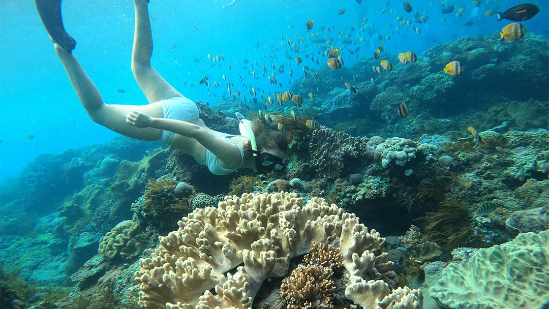 Manta Ray Snorkeling Nusa Penida – Swim with Ocean Giants
