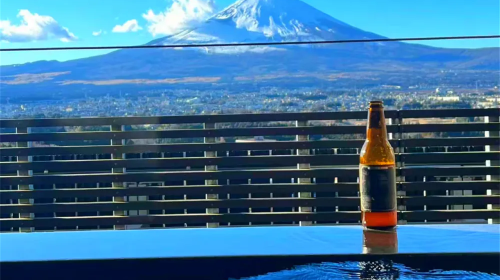 One-Day Fuji Mountain Hot Spring Tour Day Tours