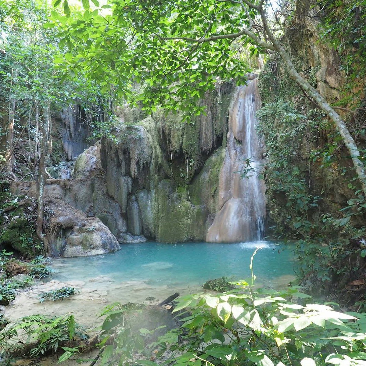 Half Day Trip to Sticky Waterfall (Buatong Waterfall)