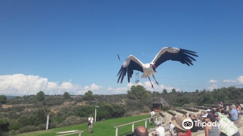 Zoo De La Barben